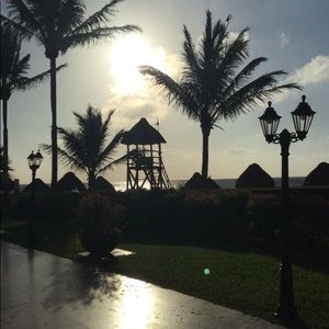 Meet your Posher, Gracie